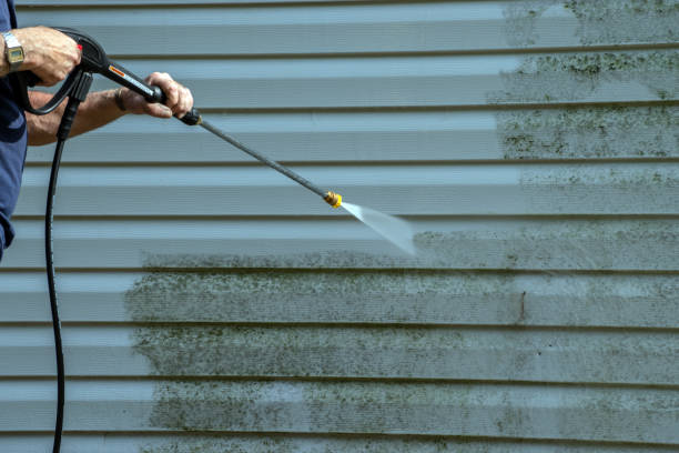 Best Vinyl Siding Pressure Washing in Meiners Oaks, CA